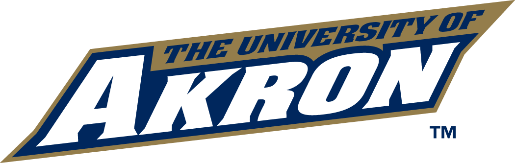 Akron Zips 2002-Pres Wordmark Logo v3 DIY iron on transfer (heat transfer)